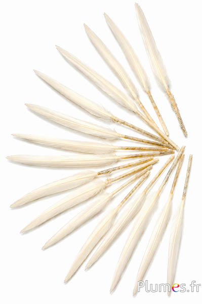Gans - 5-8 cm - wit-crème